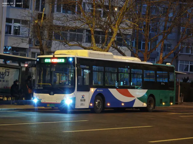 800BUS