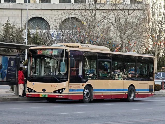 800BUS
