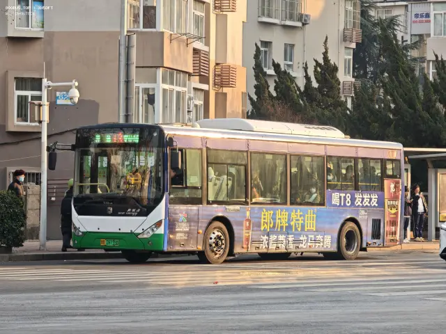 800BUS