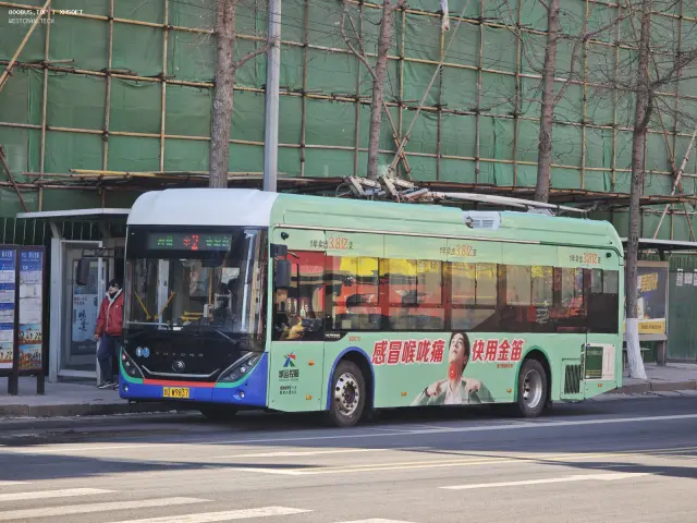 800BUS