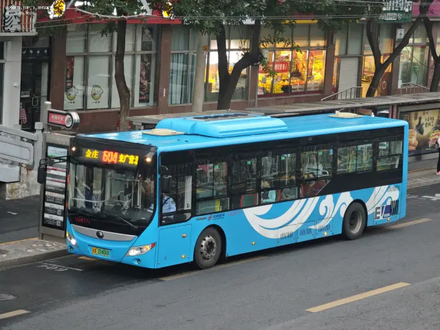 800BUS