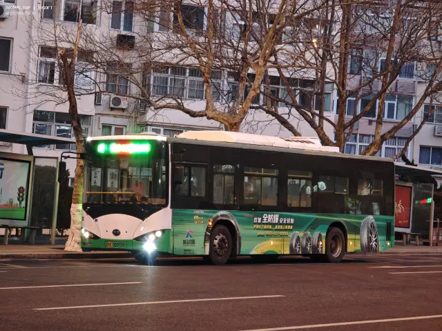 800BUS