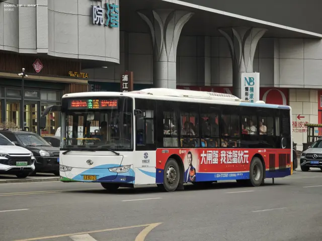 800BUS