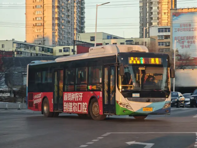 800BUS