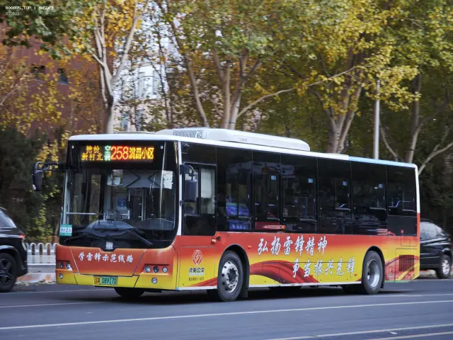 800BUS