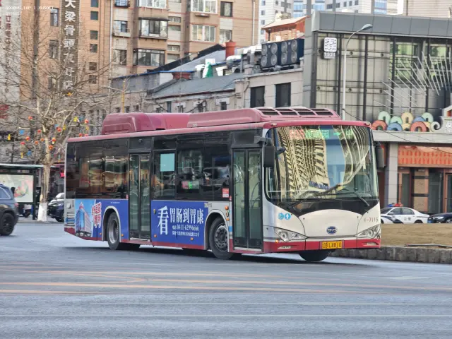800BUS