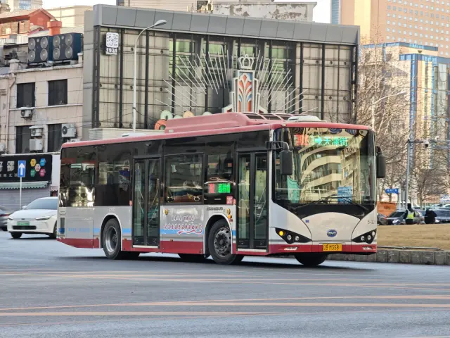 800BUS