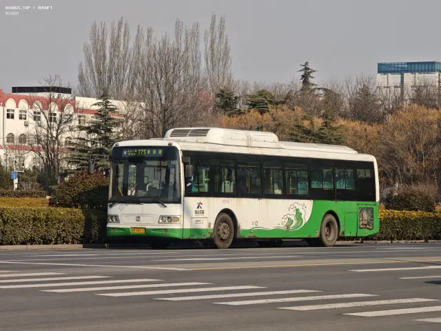 800BUS