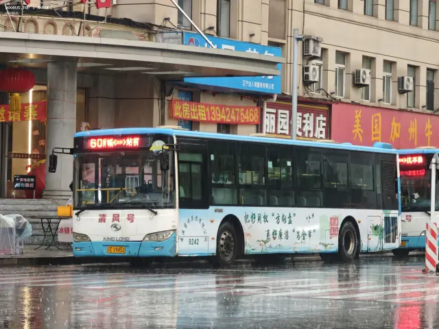 800BUS