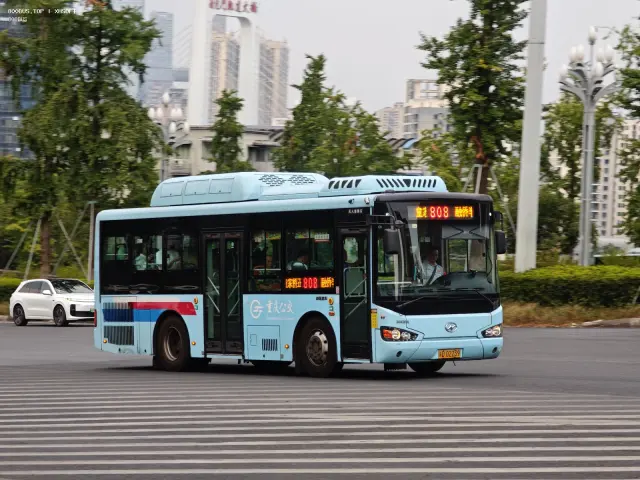 800BUS