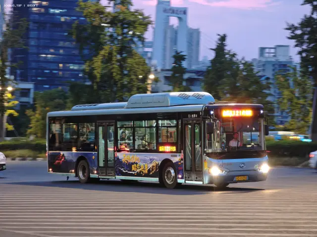 渝D 53230