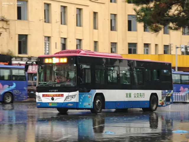 800BUS