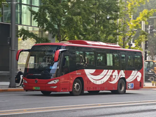 800BUS