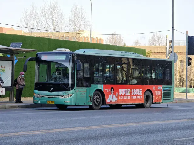 辽B L1021