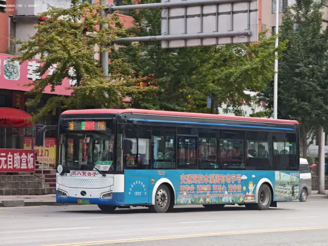 800BUS