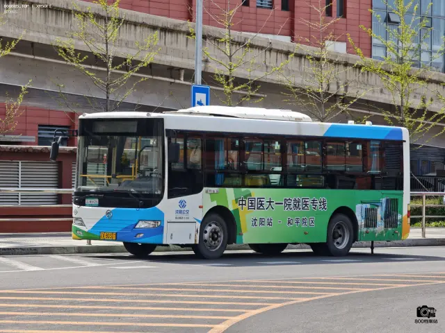 800BUS