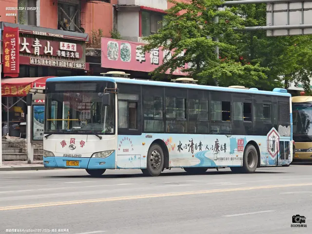 800BUS