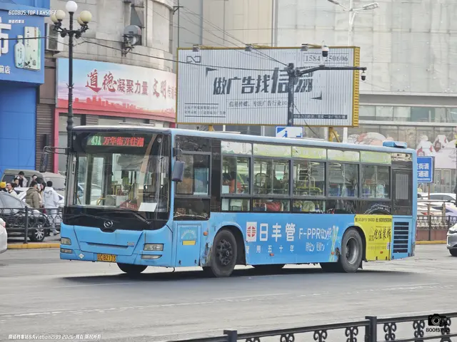 辽C B2173