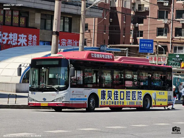 800BUS