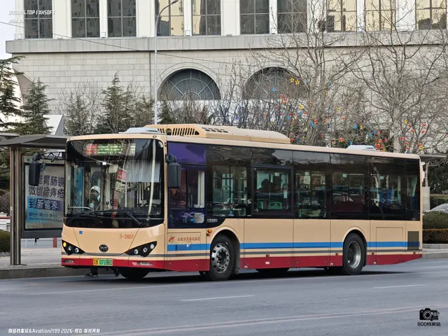 800BUS