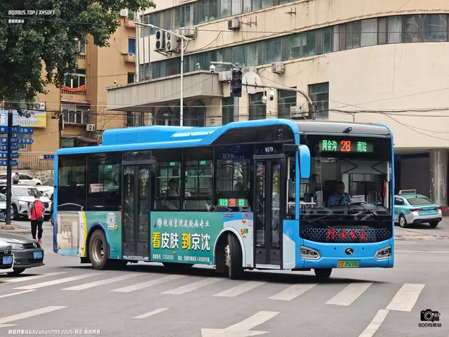 800BUS