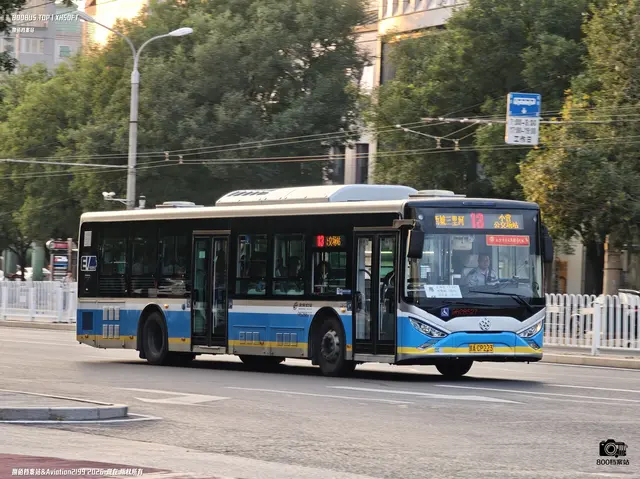 800BUS