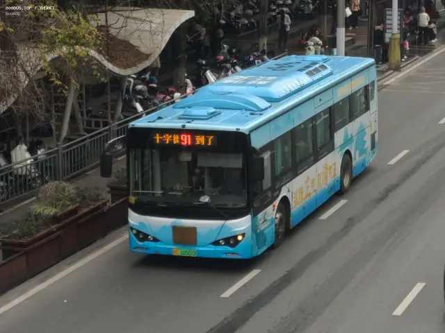 800BUS