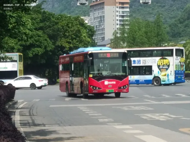 桂C 08326D