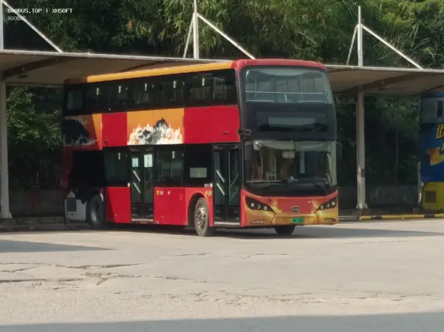 800BUS