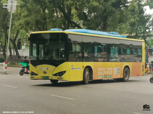 桂C 12349D