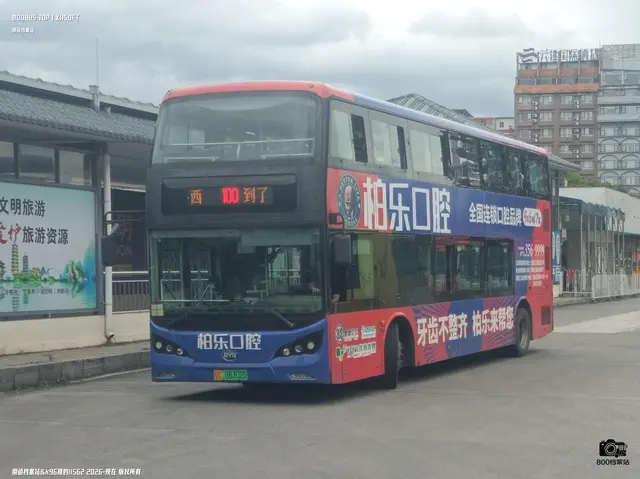 800BUS