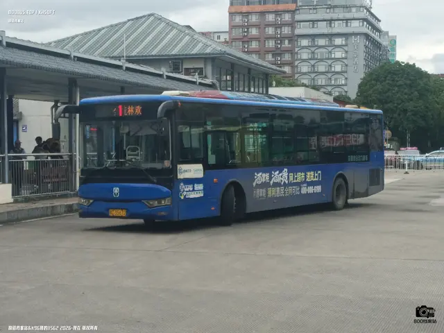 800BUS