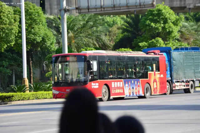 800BUS