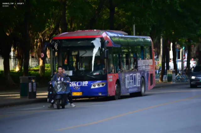 800BUS