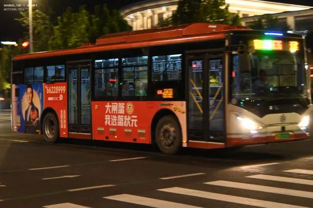 800BUS
