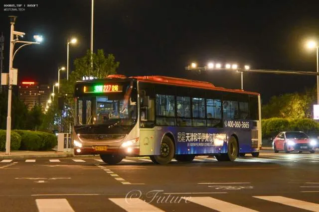 800BUS