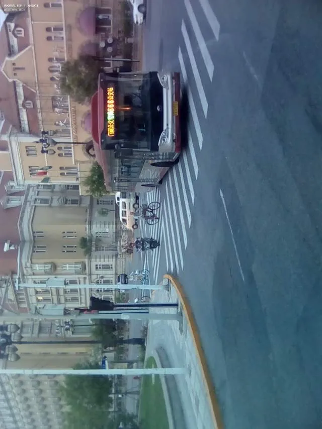 800BUS