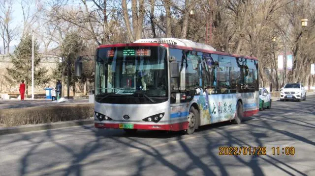 800BUS
