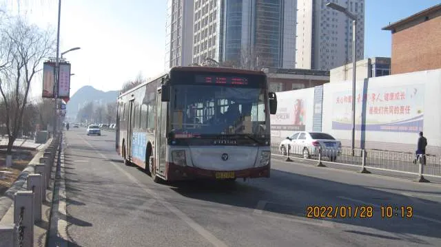 800BUS