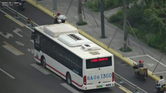 800BUS