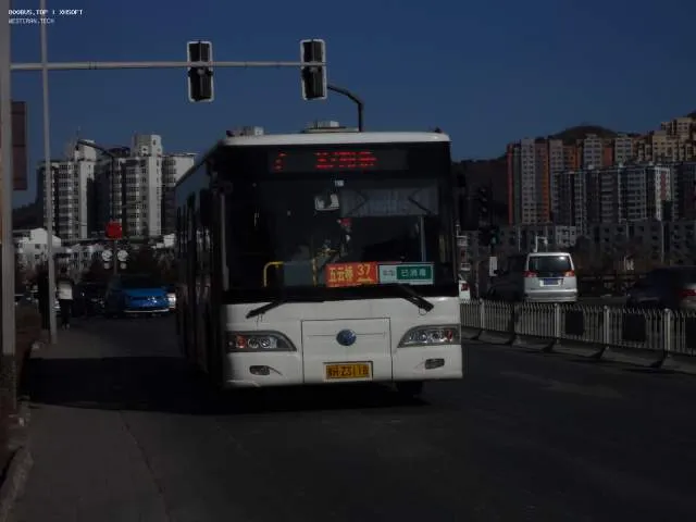 800BUS