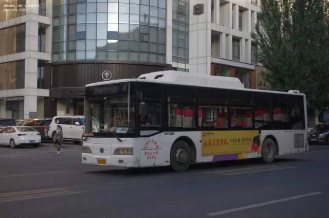 800BUS