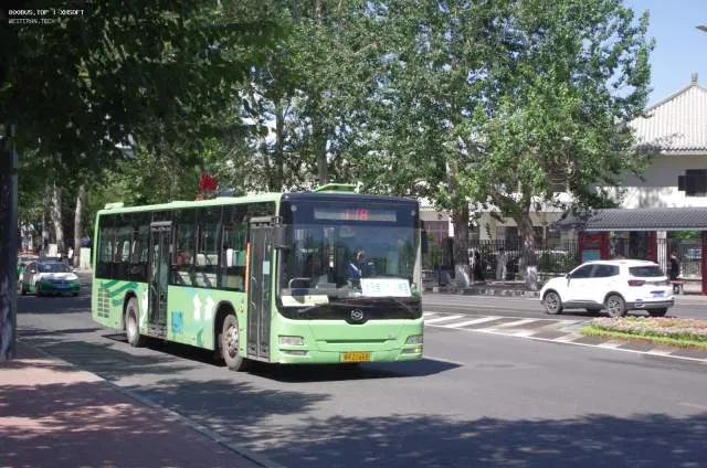 800BUS
