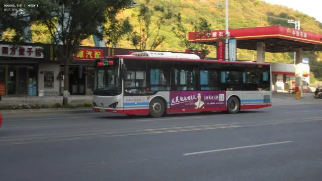 800BUS