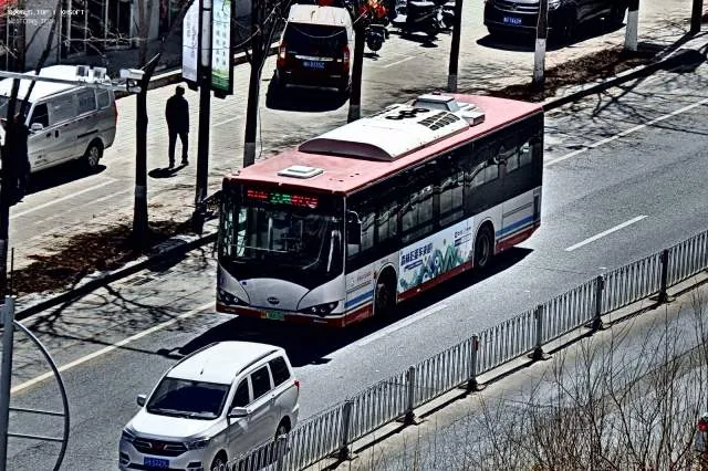 冀H 06616D