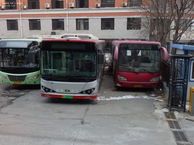 800BUS