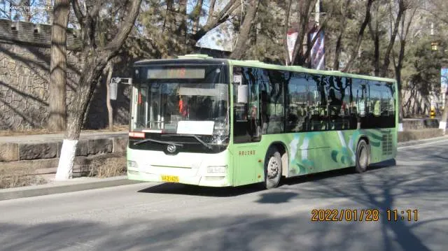 800BUS