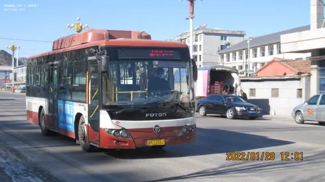 800BUS