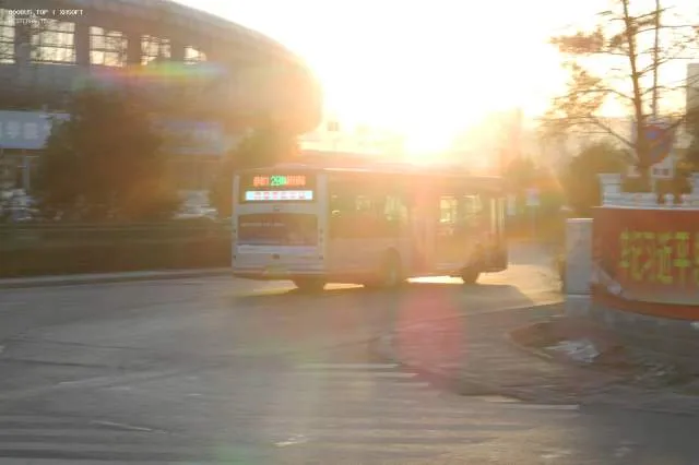 800BUS