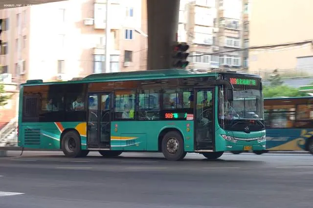 辽B L1036